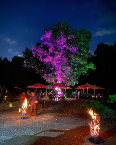 Grimmhütte Beleuchteter Baum mit lila Licht und festlicher Atmosphäre, umgeben von Gästen und Tischen.